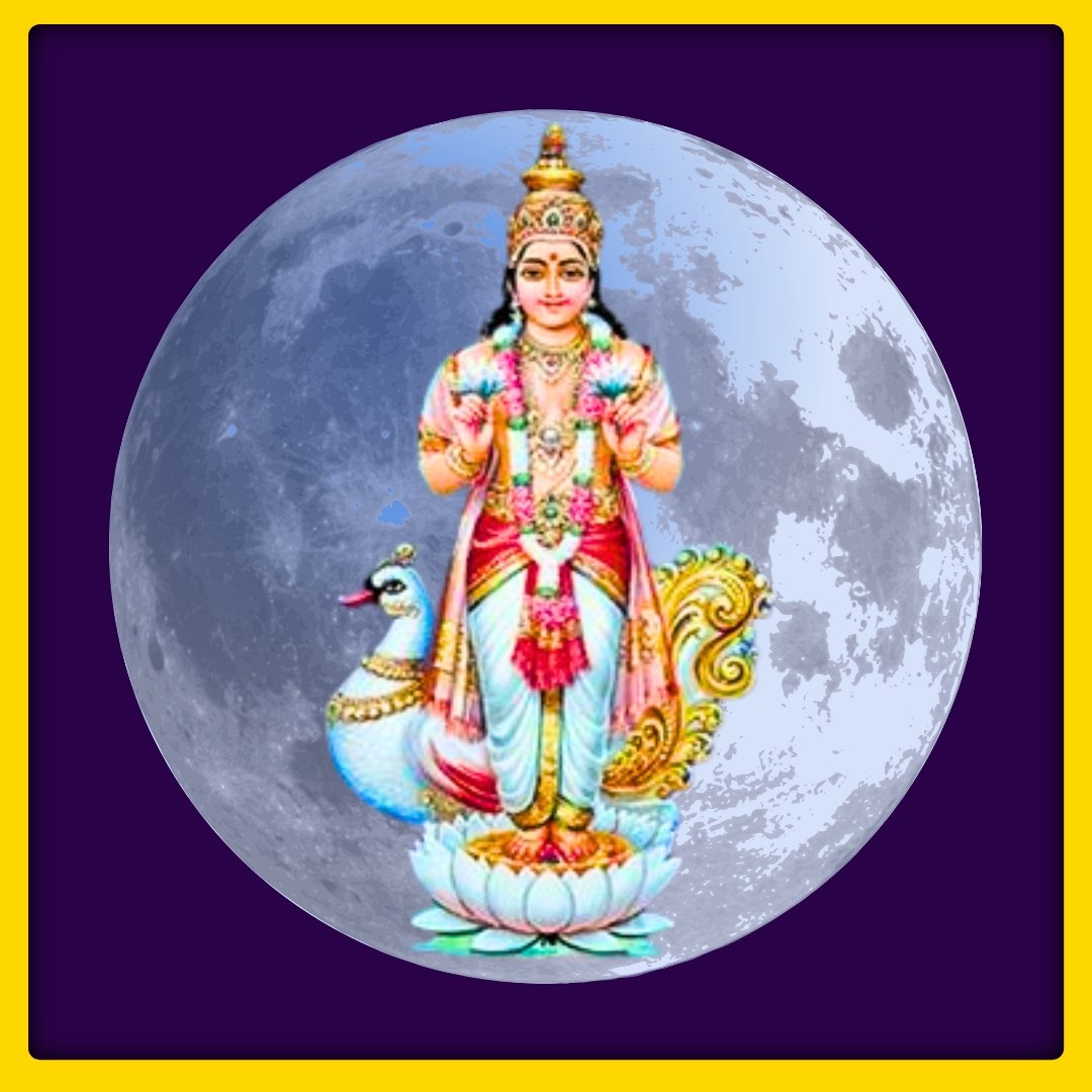 SDRSER81151 - 1763455482.jpg